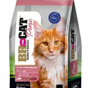 BR gato adulto castrado Salmón 10kg
