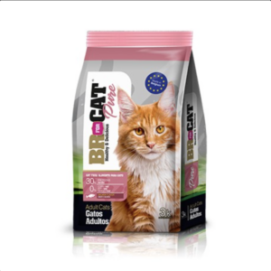 BR gato adulto salmón 10kg